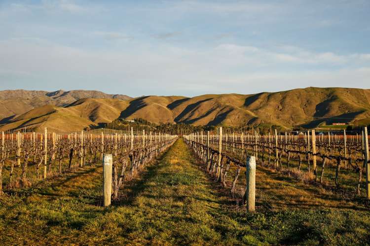 36 Wrekin Road Fairhall_10