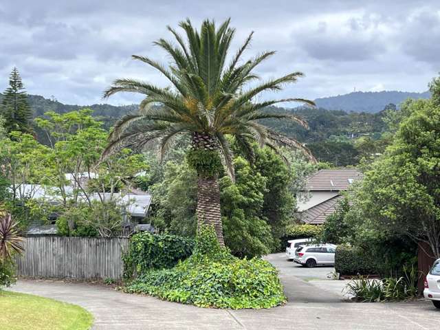 146B Glengarry Road Glen Eden_3