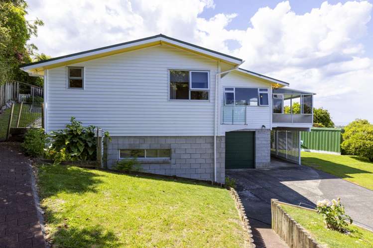 17 Kamahi Terrace Omori_25