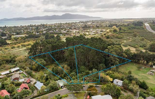 63-69 Leinster Avenue Raumati South_1