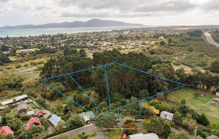 63-69 Leinster Avenue Raumati South_1