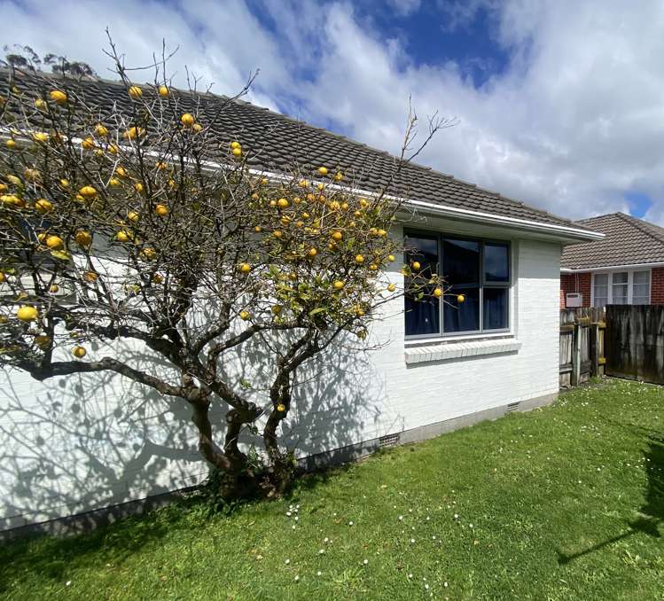 3/1007 Fergusson Drive Clouston Park_8