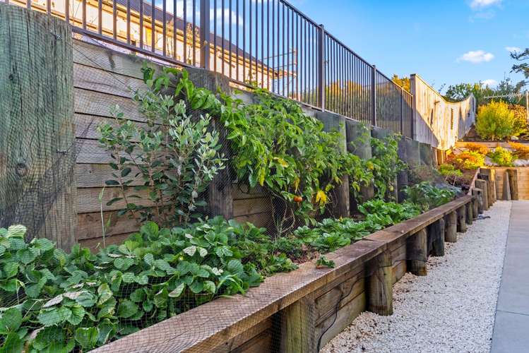 12 Kerr Crescent Patumahoe_46