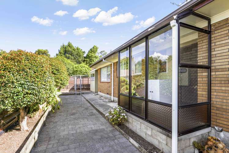 216b Peachgrove Road Claudelands_10