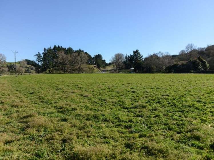 64 Waipunga Road Eskdale_18