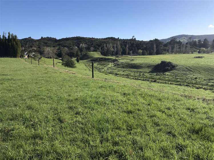 1317 Oruru Road Peria_19