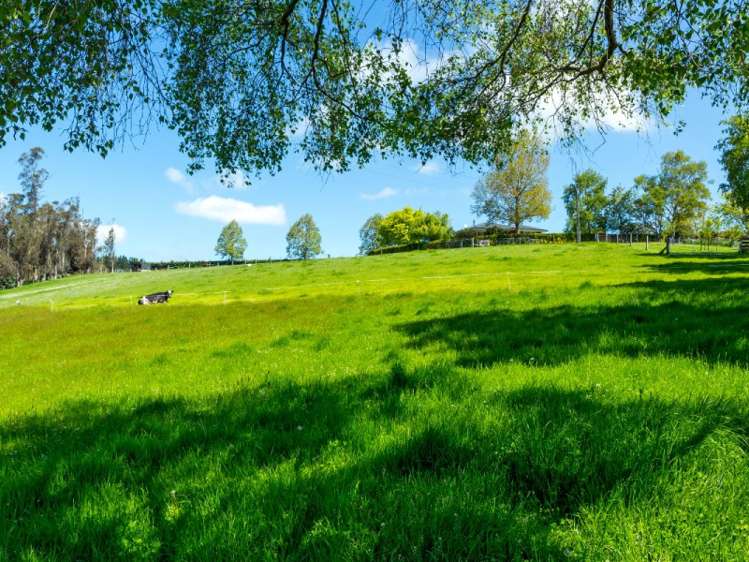 823 Opihi Road Pleasant Point_17