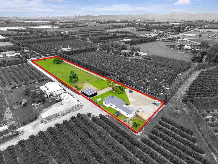 36 Bell Road Matawhero_4