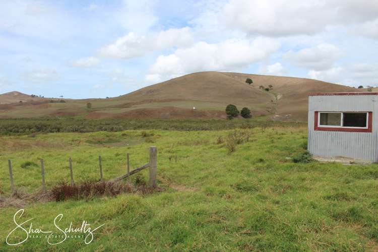 215c Heatley Road Whakapirau_22