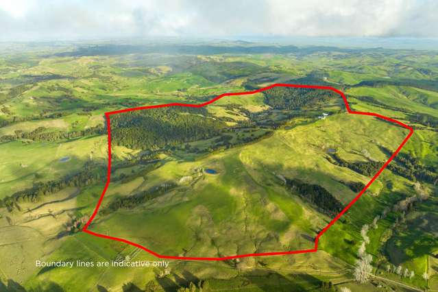 85 Lusk Road Ruawai_1