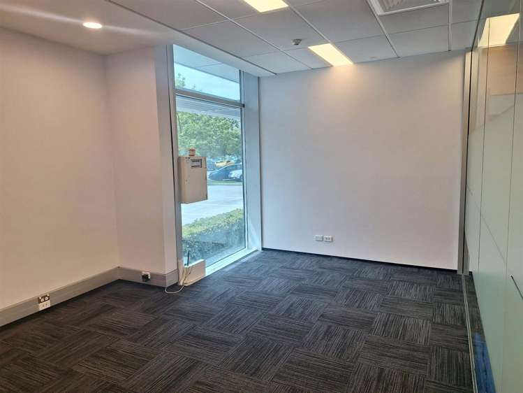 7 Show Place Addington_5