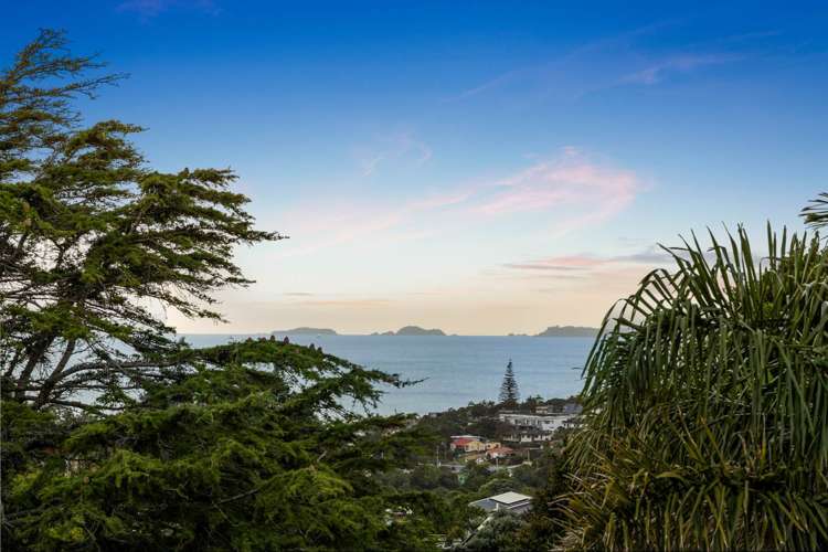 355 East Coast Road Mairangi Bay_1