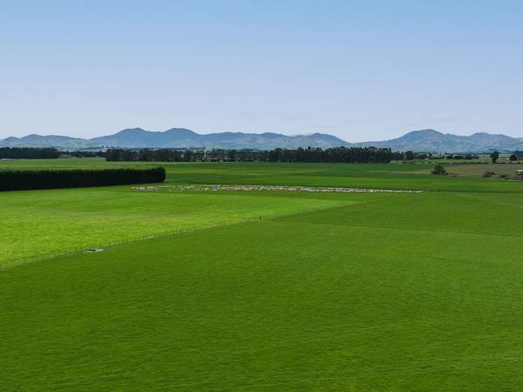 Warr Road. Balfour_10