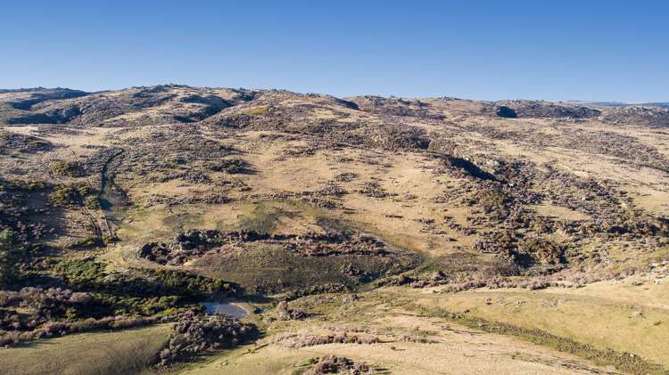 250 Four Mile Road Hyde_19