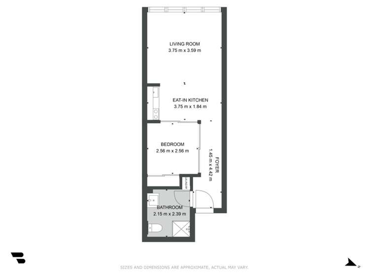 8/27 Cheshire Street Parnell_10