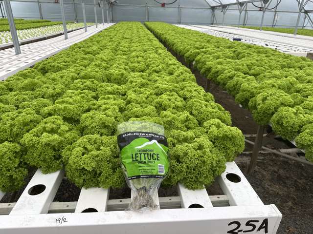 116 Wingatui Road Mosgiel_2