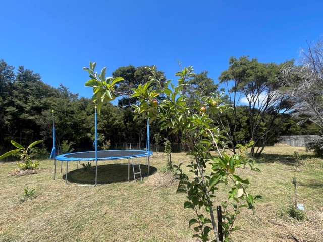 9 Whangaparapara Road Great Barrier Island_4