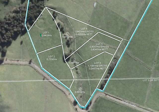 Dodd Road Maungaturoto_1