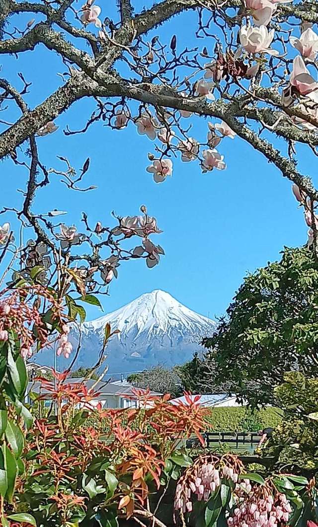 Central Location With Privacy Serenity & Birdsong