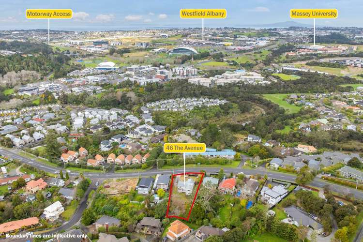 46 The Avenue Albany_1