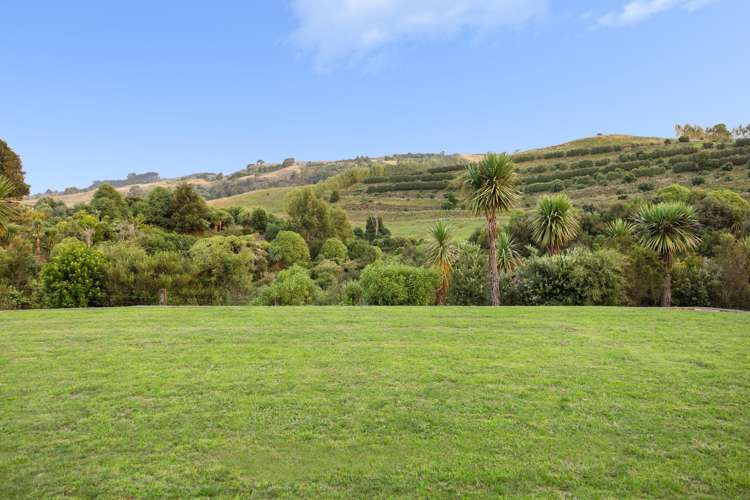 145A Whakamarama Road Whakamarama_26