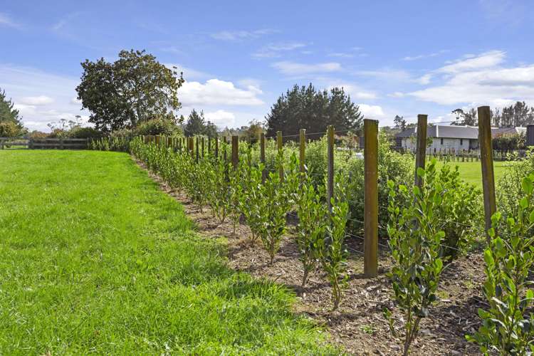 3/1 Lowe Road Rukuhia_10