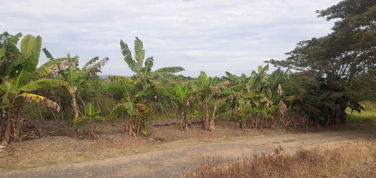 15 Carreras Road, Votualevu Viti Levu_7