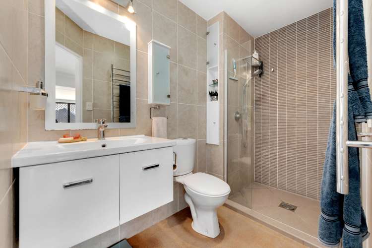 15 Janet Street Sunnyhills_11