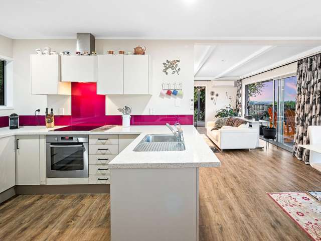 313 Youngson Road Whakamarama_4