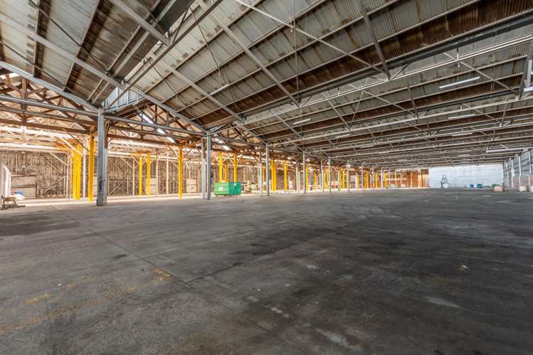 62 Hayes Street Timaru Port_6