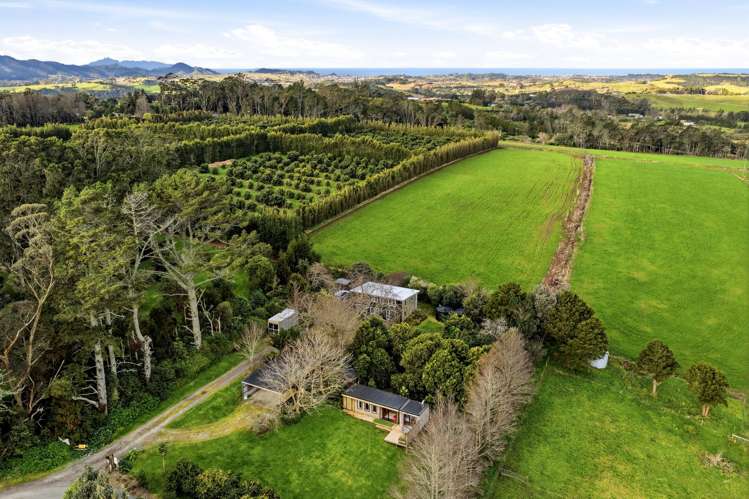 497A Tara Road Mangawhai_30