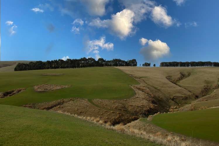 901 Wilden Runs Road West Otago Surrounds_12