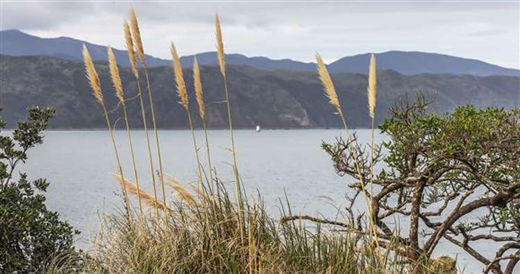 303 Karaka Bay Road Karaka Bays_40