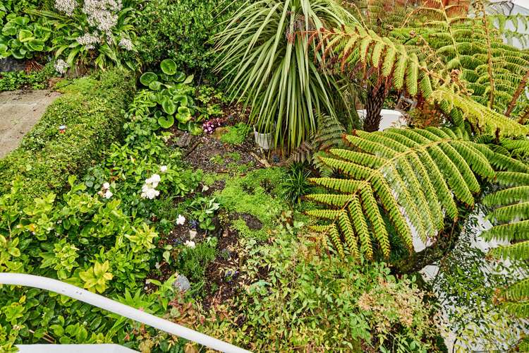 228 Oriental Parade Oriental Bay_13