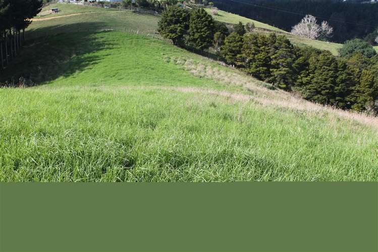 Taraunui Road Parua Bay_9