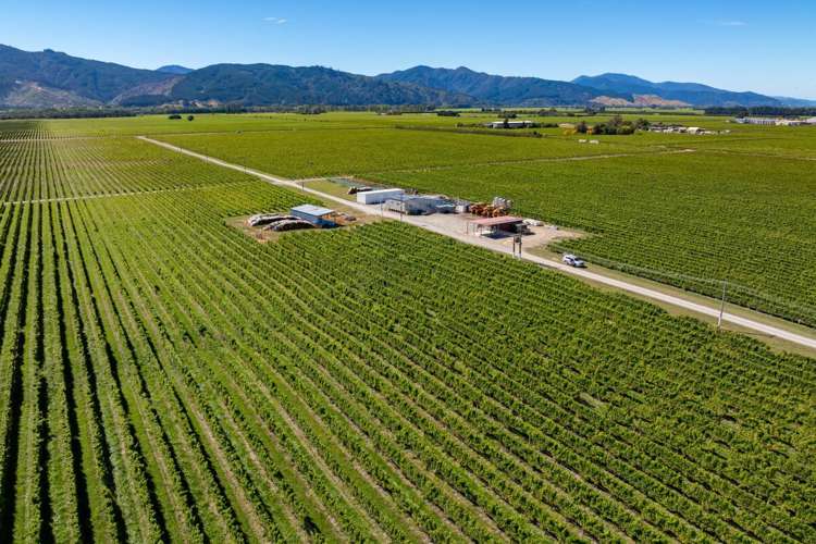 1 Wairau Plains Renwick_7