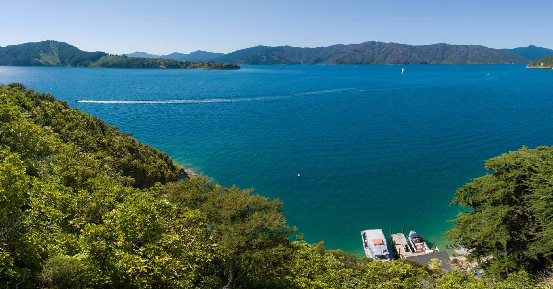 Lot 3 Bay of Many Coves Queen Charlotte Sound_0