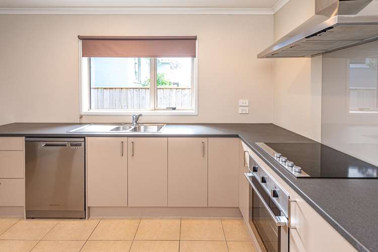 3 Plunket Street Durie Hill_8