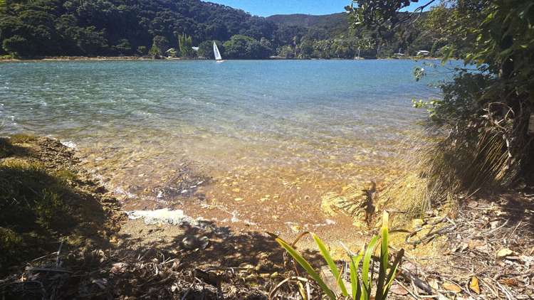 Lot 135/DP4961 North Cove Kawau Island_15