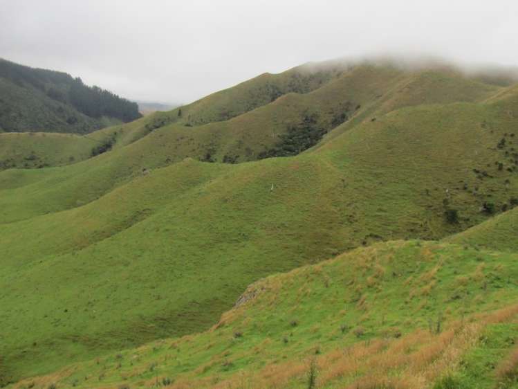 629 Tamaki East Road Rangitikei Surrounds_8