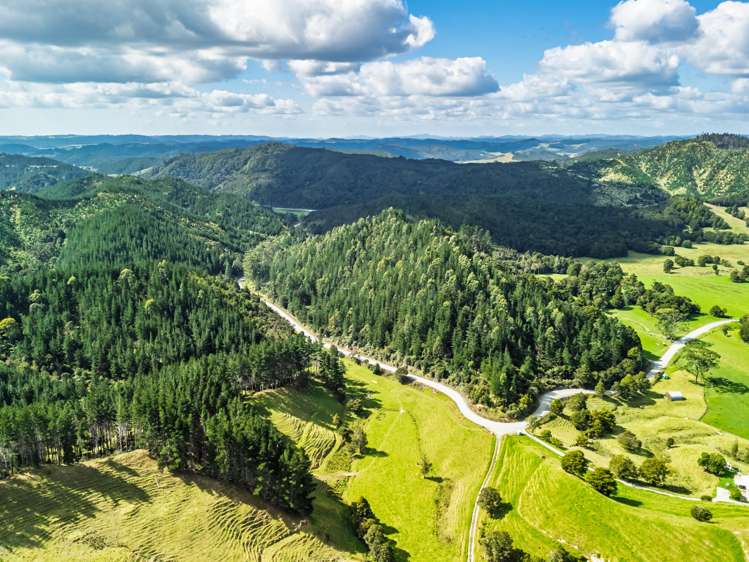 Pokapu Road Matawaia_10