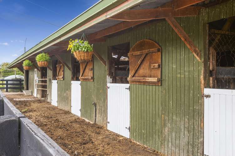 522D Matangi Road Matangi_17