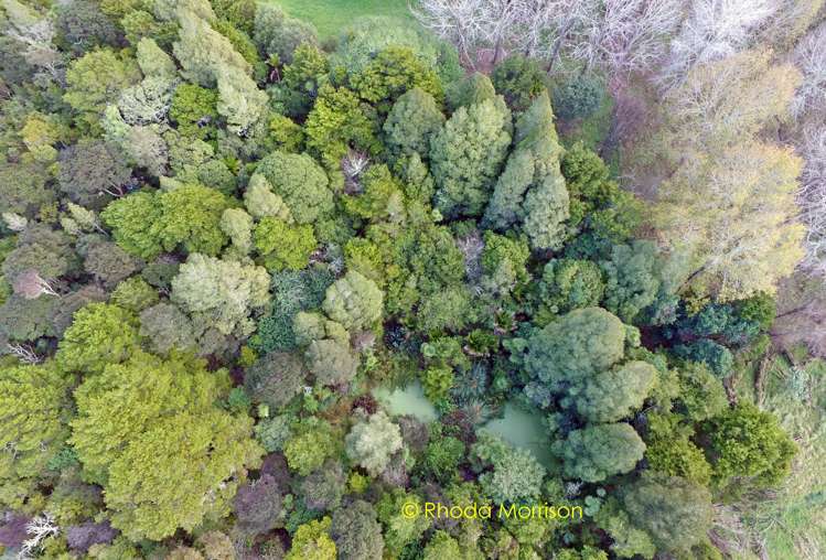 229 Pahi Road Paparoa_12