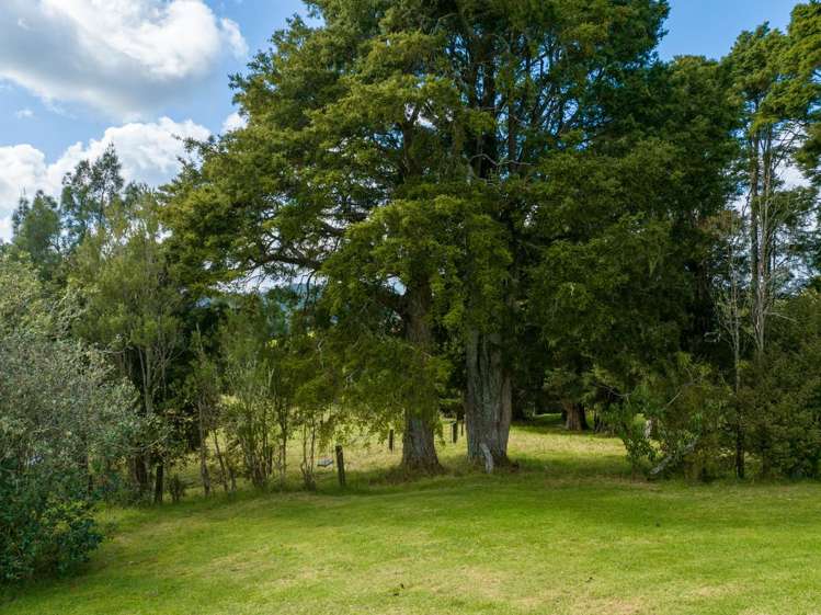 45 Monument Road Kawakawa_8