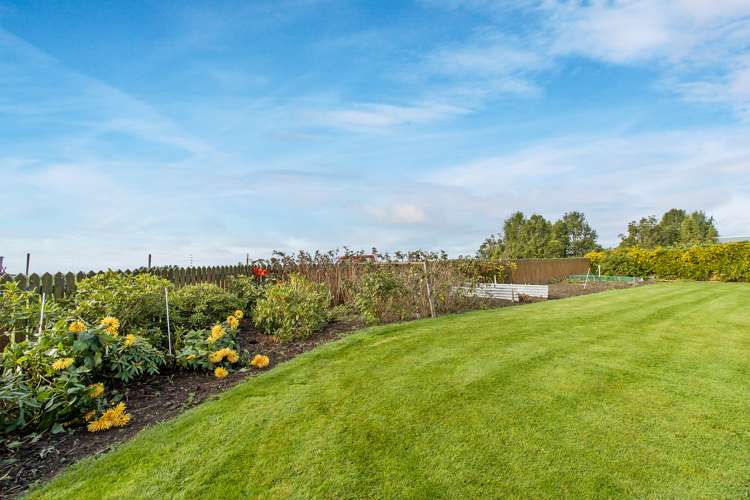 50 Bassett Road Rosewill_24