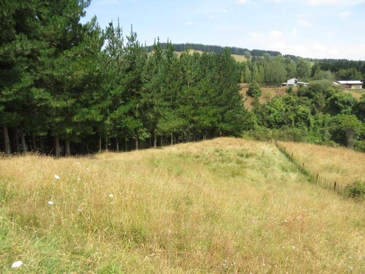 237 Waituna Road Pahiatua_6