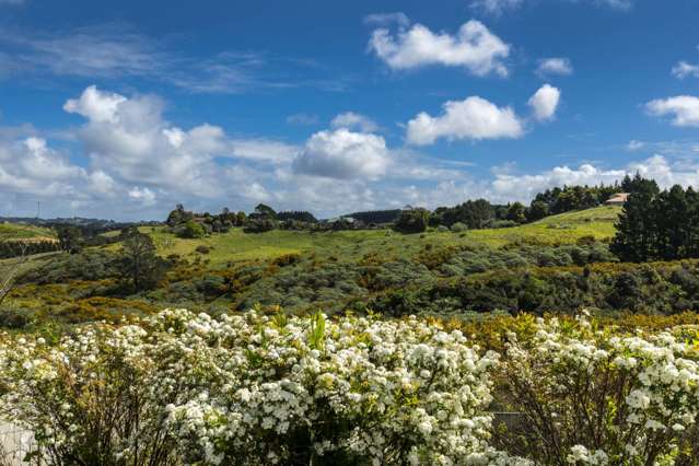 42 Harvest Avenue Orewa_1