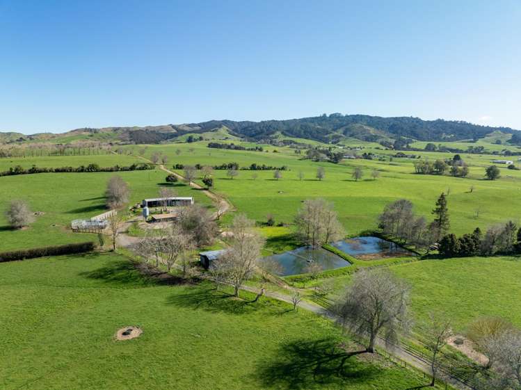 97 Herbert Road Morrinsville_0