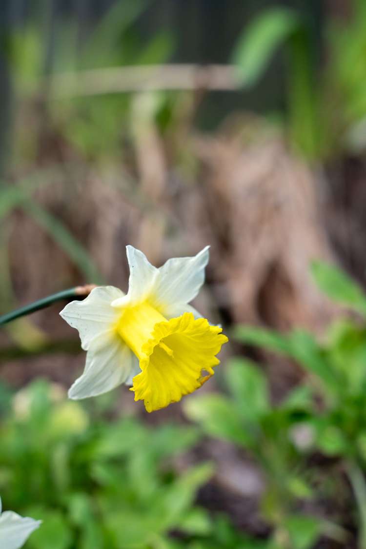 6 Penfold Square Leithfield_21