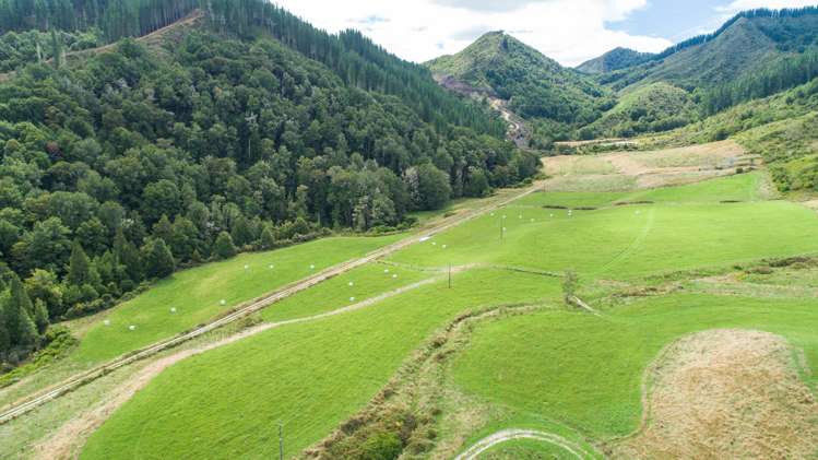 845 Shenandoah Highway Murchison_7